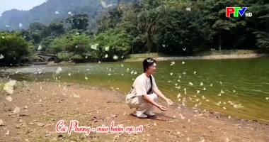 Cuộc sống thường ngày 9-4-3026