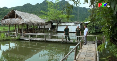 Cựu chiến binh - Cựu chiến binh gương mẫu phát triển kinh tế