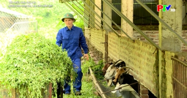 Cựu chiến binh: Người lính năm xưa - Làm giàu hôm nay