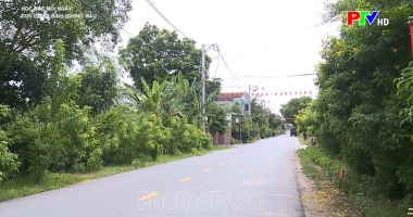 Cựu chiến binh gương mẫu