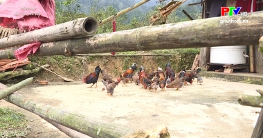 Đặc sản Tân Sơn