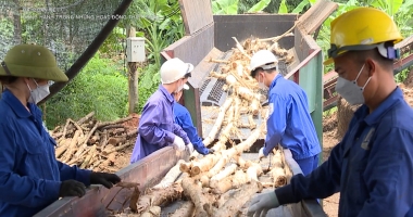 Đại đoàn kết - Đồng hành trong những hoạt động thiết thực