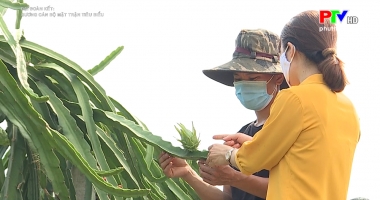 Đại đoàn kết - Gương cán bộ mặt trận cơ sở