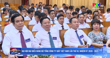 Đại hội Đại biểu Đảng bộ Tổng công ty giấy Việt Nam lần thứ III, nhiệm kỳ 2020 - 2025