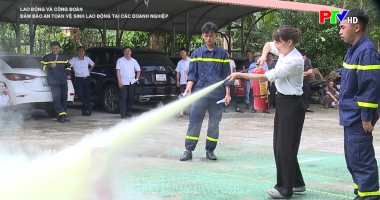 Đảm bảo an toàn vệ sinh lao động tại các doanh nghiệp