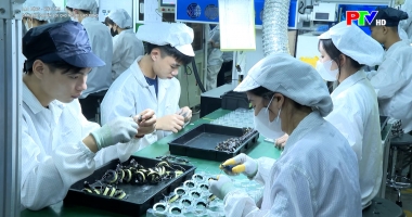 Đảm bảo quyền lợi cho người lao động