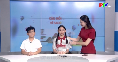 Dành cho thiếu nhi - Một ngày làm MC nhí