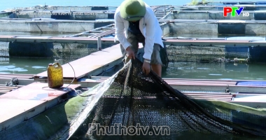 Đánh thức tiềm năng kinh tế nông nghiệp