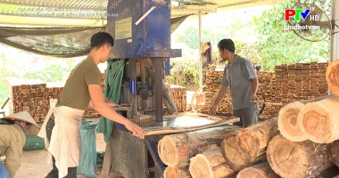 Phát triển nghề chế biến lâm sản ở miền núi