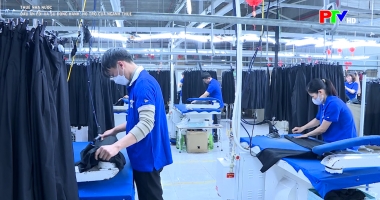 Thuế nhà nước - Dấu ấn FDI và sự đồng hành, hỗ trợ của ngành Thuế