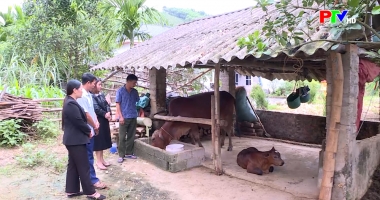 Dấu chân cán bộ trên hành trình giảm nghèo