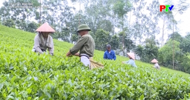 Để ruộng đồng mang lại mùa vàng