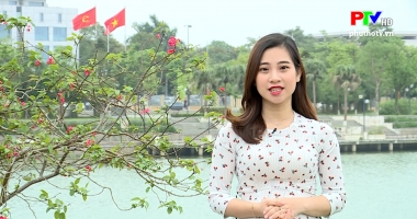 Đến với bài thơ hay - Chim đậu đất lành