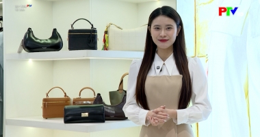 Đẹp cùng PTV ngày 12-4-2026