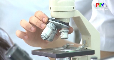 Đại học Hùng Vương nâng cao chất lượng đào tạo