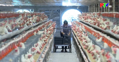 Đi đầu để dẫn lối thanh niên