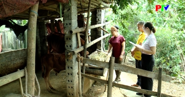 Điểm tựa của người dân miền núi