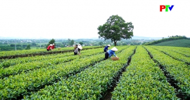 Doanh nghiệp doanh nhân Đất Tổ ngày 28-12-2025