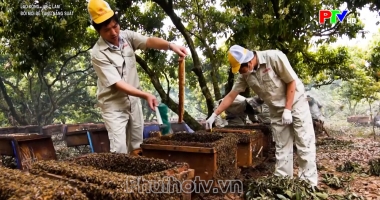 Đổi mới để tăng năng suất