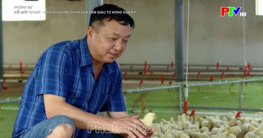 Đổi mới tư duy - Chìa khóa mở cánh cửa làm giàu từ nông nghiệp
