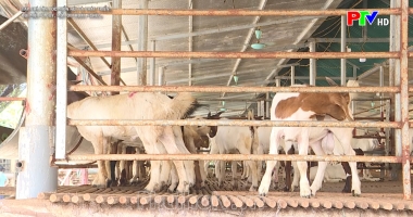 Đổi mới tư duy mở lối thoát nghèo