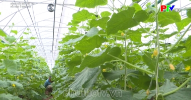 Đổi thay ở Minh Tân