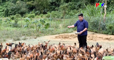 Đổi thay từ dự án giảm nghèo ở vùng cao