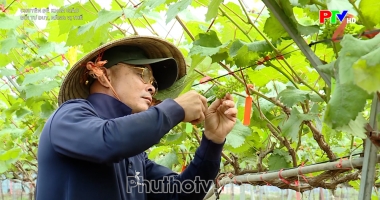 Đổi tư duy, nâng vị thế