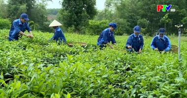 Đồng hành cùng doanh nghiệp khởi nghiệp