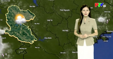 Dự báo thời tiết ngày 07-06-2026