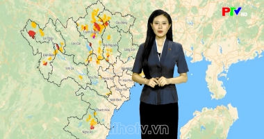 Dự báo thời tiết ngày 10-08-2026