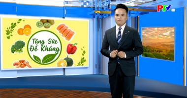 Dự báo thời tiết ngày 11-12-2025