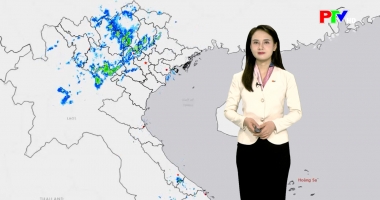 Dự báo thời tiết ngày 12-12-2025