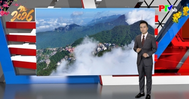 Dự báo thời tiết ngày 15-02-2026