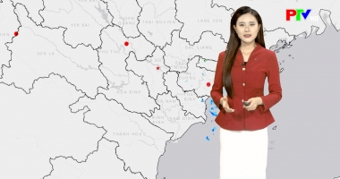 Dự báo thời tiết ngày 22-01-2026