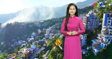 Dự báo thời tiết ngày 23-01-2026