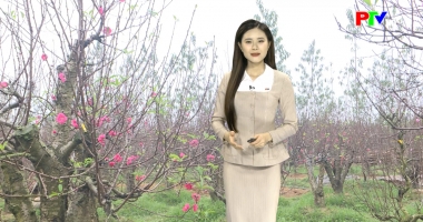 Dự báo thời tiết ngày 28-01-2026