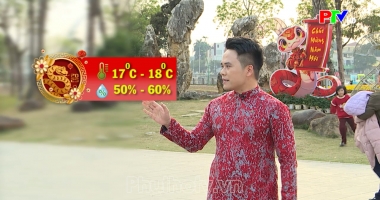 Dự báo thời tiết ngày 29-1-2025