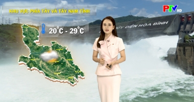 Dự báo thời tiết ngày 29-10-2025