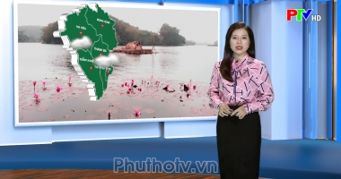 Dự báo thời tiết ngày 9-5-2024