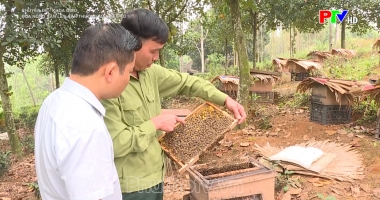 Đưa nông sản lên sàn thương mại điện tử