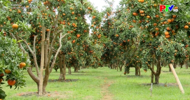 Gắn kết để phát triển