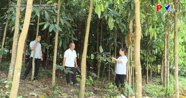 Già làng trưởng bản hạt nhân xây dựng khối đại đoàn kết