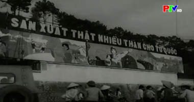 Giấc mơ dưới chân đồi than