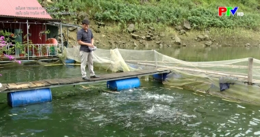 Giải bài toán về nguồn nhân lực