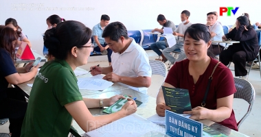 Giải pháp tạo việc làm mới cho nhiều lao động