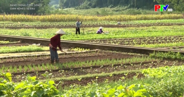 Giảm nghèo từ đâu