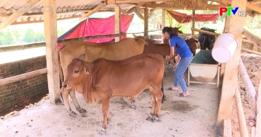 Giảm nghèo từ mô hình sinh kế bền vững