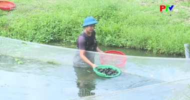 Giảm nghèo từ những mô hình