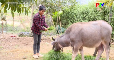 Giảm nghèo từ những mô hình thiết thực